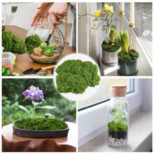 100g/Pack Artificial Moss - Natural Outdoor/Lawn Use, Durable Non-Fading Maintenance-Free Gardening Decor, Suitable For DIY Landscaping, Planters, Rooftop Gardens, Lawns (No Watering Required/Easy To Shape) - Multicolor - View 4