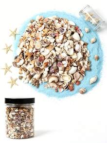 1000/400 Pcs Tiny Sea Shells For Crafting Mini Seashells Stafish For DIY Animal Photo Frame Home Decorations, Beach Theme Party, Small Shells For Craft, Wedding Decor, Fish Tank Vase Filler - Natural Seashells - View 4