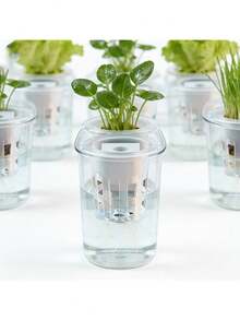 Bộ 10 giỏ trồng cây thủy canh (bao gồm 10 giỏ trồng + 10 miếng xốp ươm hạt) | Giữ hạt giống, chống trôi dạt, hệ rễ trong suốt, phụ kiện cho hệ thống nhà kính thủy canh ban công. - Nhiều màu - Xem 4