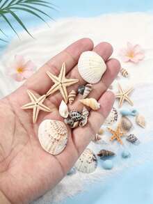 1000/400 Pcs Tiny Sea Shells For Crafting Mini Seashells Stafish For DIY Animal Photo Frame Home Decorations, Beach Theme Party, Small Shells For Craft, Wedding Decor, Fish Tank Vase Filler - Natural Seashells - View 3