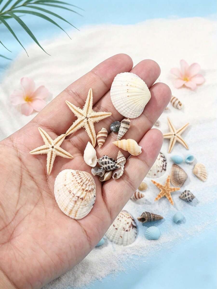 1000/400 Pcs Tiny Sea Shells For Crafting Mini Seashells Stafish For DIY Animal Photo Frame Home Decorations, Beach Theme Party, Small Shells For Craft, Wedding Decor, Fish Tank Vase Filler