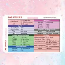 1pc/3pcs Nursing Lab Reference Card, Thick 0.76mm PVC Double-Sided Printing, Clinical Internship ID Badge Holder, Essential For Nursing Students, Office & Learning Gift - A - View 2