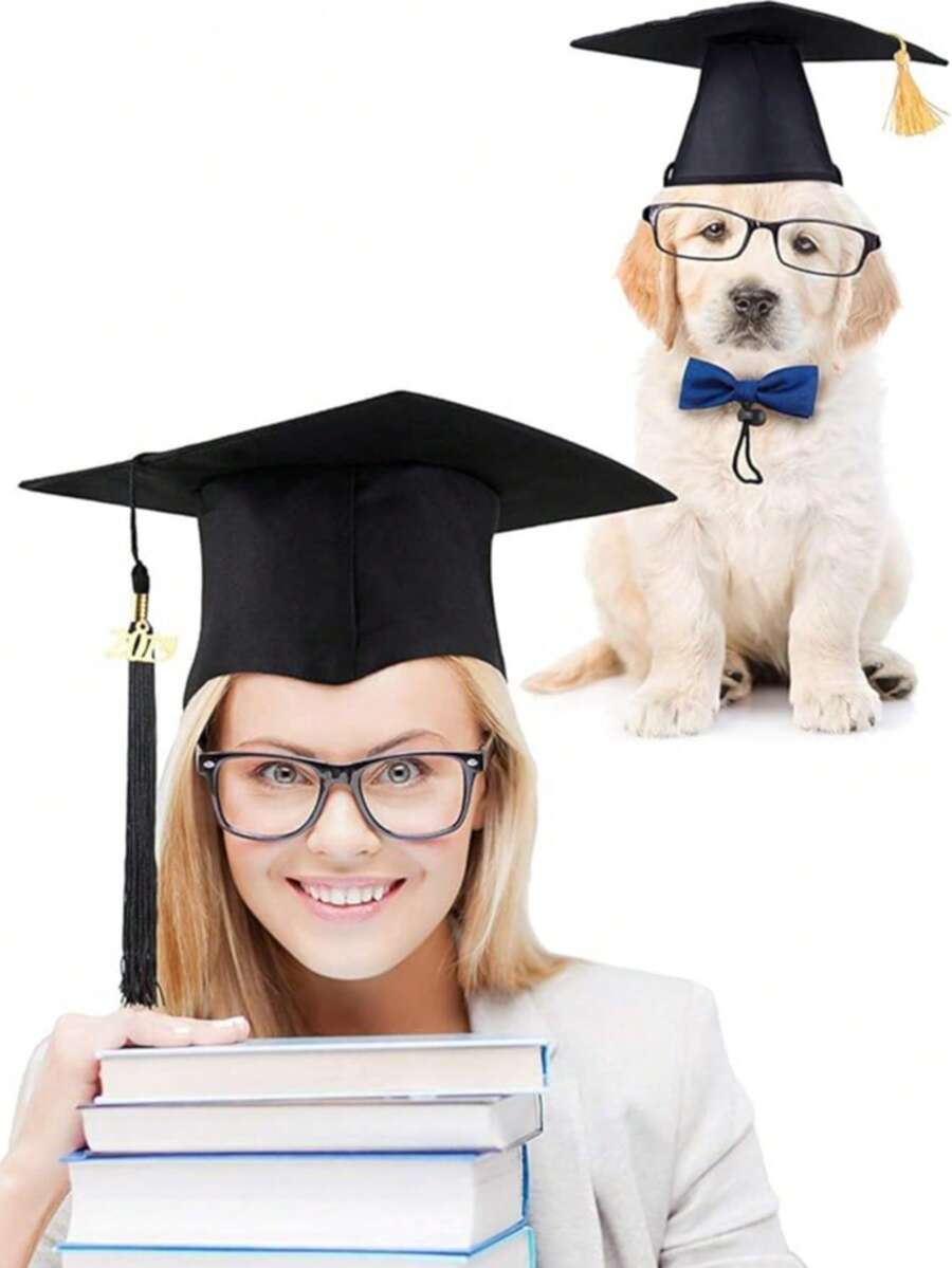 Charming Pet Doctor Hat, Adorable Scholar Style Costume Headwear For Cats And Small Dogs, Cute Lightweight Design For Comfortable All-Day Wear, Perfect For Pet Dress-Up, Holiday Parties, Cosplay Events, Photoshoots And Daily Fun, Lovely Decor To Turn Your Furry Friend Into A Cute And Elegant Little Scholar - Multicolor - View 1