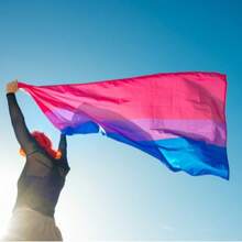 Bandeiras Países do Mundo 1,40x0,90m Copa do Mundo Decoração Festa Futebol Eventos - BISSEXUAL LGBT - Visão 2
