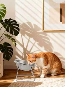15度倾斜不锈钢猫狗喂食碗，加高设计保护颈部，易于清洁，猫耳造型宠物食品和水碗，可拆卸金属支架，有助于减轻颈椎压力，促进消化，宠物主人必备。 - 500ml - 查看 6