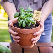 12/24pcs 12 Styles Wooden Plant Labels, Herb Garden Markers, Plant Stakes With Herb Names, Suitable For Indoor & Outdoor Decor - Label - View 7