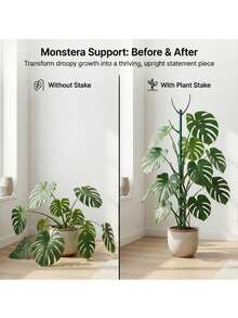 6件套蒙特拉植物支撑架，包含5根支撑杆和1卷绑带，可堆叠的高杆带绑带，专为攀援植物茎干设计，耐用的棚架式花园支撑架，适合户外园艺。 - A - View 5