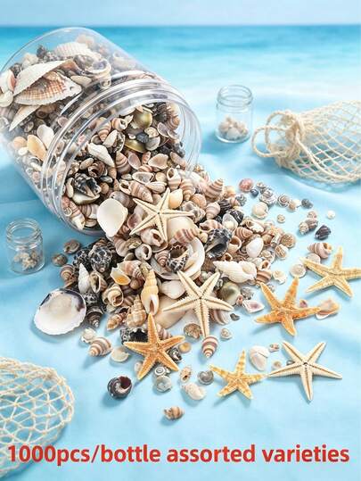 1000/400 piezas Pequeñas conchas marinas para manualidades, mini conchas y estrellas de mar para DIY, marco de fotos de animales, decoraciones para el hogar, fiesta con tema de playa, pequeñas conchas para artesanía, decoración de boda, relleno de pecera y florero