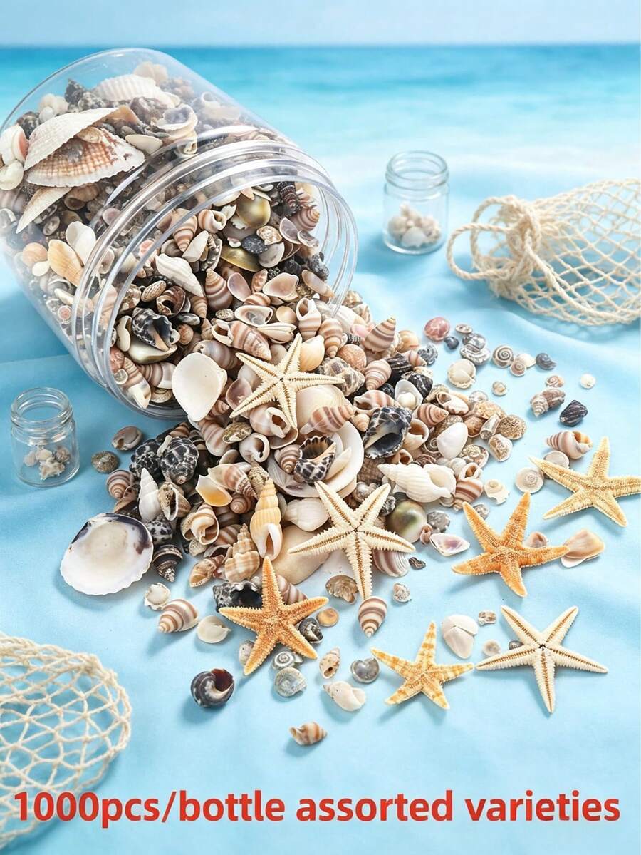 1000/400 Pcs Tiny Sea Shells For Crafting Mini Seashells Stafish For DIY Animal Photo Frame Home Decorations, Beach Theme Party, Small Shells For Craft, Wedding Decor, Fish Tank Vase Filler