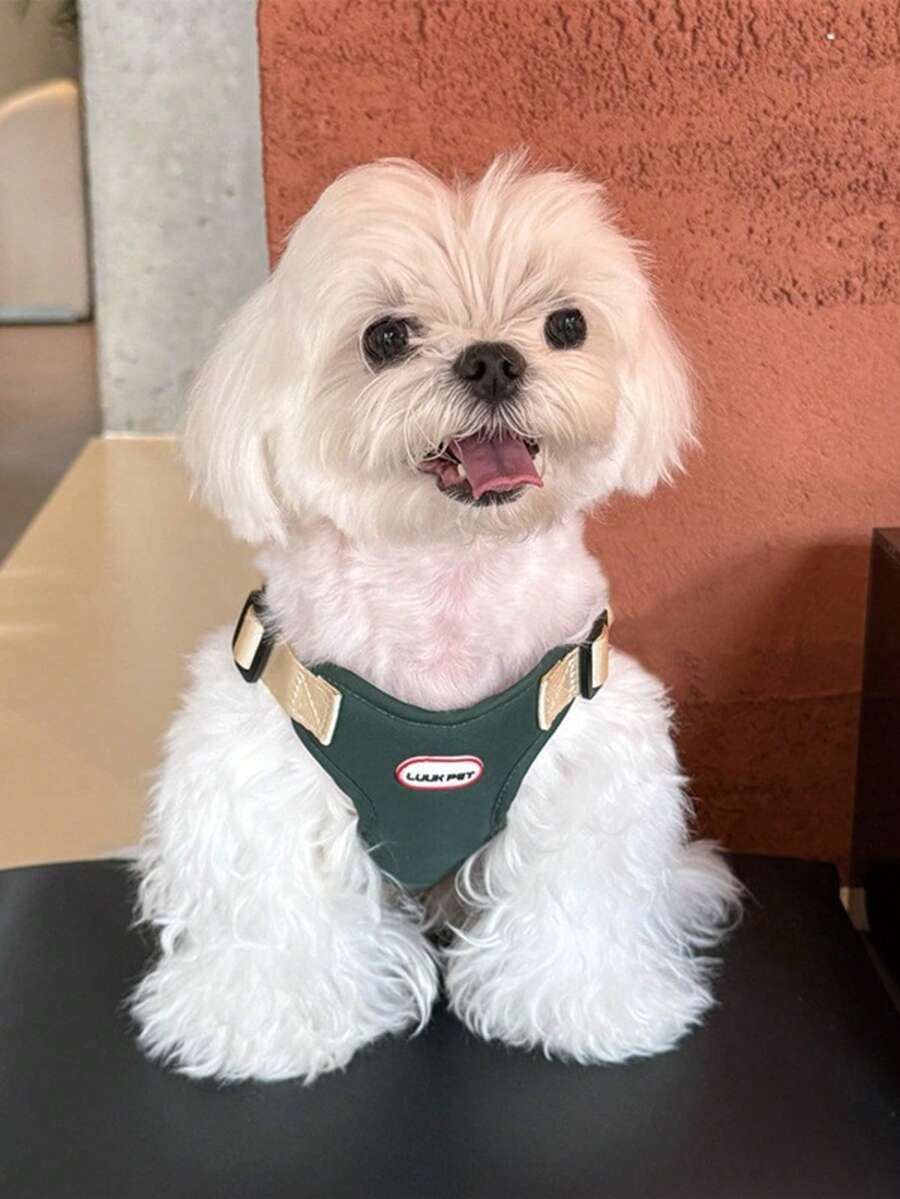 1 pieza Correa de poliéster para perros pequeños, conjunto de arnés y correa de estilo chaleco suave y transpirable ajustable para pasear - Verde - Ver 1