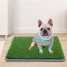 1 pieza Almohadilla de baño para perros de césped artificial, inodoro de césped falso reutilizable para mascotas, alfombra de entrenamiento para orinar para perros - Multicolor - Ver 6