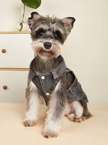 Áo khoác denim màu xám cho thú cưng, phù hợp cho mèo và chó nhỏ/trung bình, dùng hàng ngày. - Xám - Xem 1