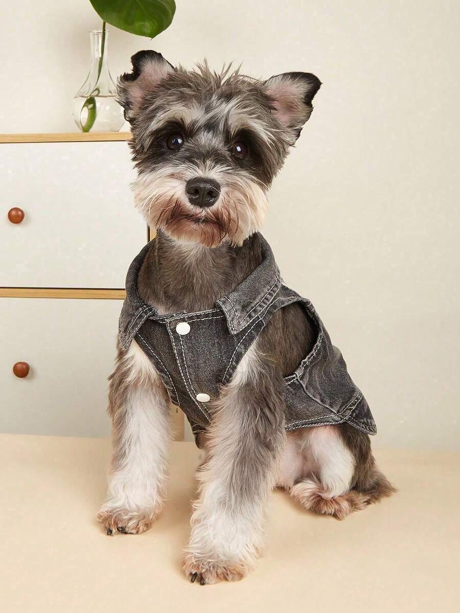 Áo khoác denim màu xám cho thú cưng, phù hợp cho mèo và chó nhỏ/trung bình, dùng hàng ngày. - Xám - Xem 1