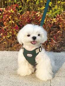 1 pieza Correa de poliéster para perros pequeños, conjunto de arnés y correa de estilo chaleco suave y transpirable ajustable para pasear - Verde - Ver 4