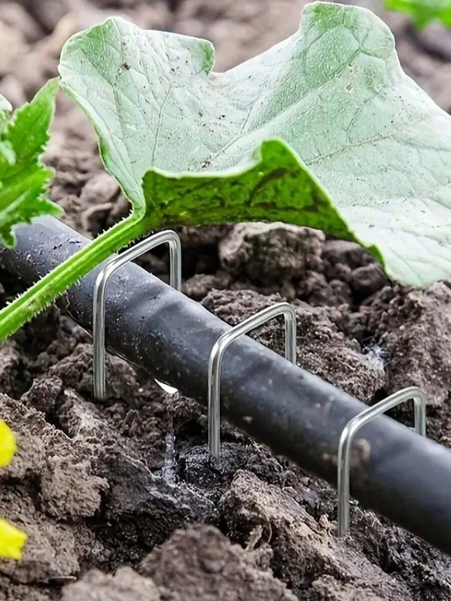 20/50 chiếc cọc làm vườn mạ kẽm, đinh chữ U chống gỉ, dùng để cố định hàng rào, ống tưới, bãi cỏ, vải che phủ cảnh quan, cọc đa năng cố định hoa, dụng cụ làm vườn. - In đậm - Xem 1