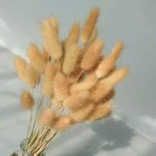 55-60根，17英寸红色人造兔尾草，家居装饰人造兔尾草茎，适用于波西米亚风插花、DIY手工、家居厨房和婚礼装饰、圣诞节、感恩节、花环装饰 - 原色 - 查看 4
