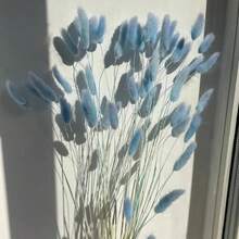 55-60根，17英寸红色人造兔尾草，家居装饰人造兔尾草茎，适用于波西米亚风插花、DIY手工、家居厨房和婚礼装饰、圣诞节、感恩节、花环制作 - 天藍色 - 查看 5