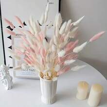 55-60 cành, cỏ đuôi thỏ giả màu đỏ dài 17 inch, dùng trang trí nhà cửa, thích hợp cho các kiểu cắm hoa phong cách Boho, đồ thủ công DIY, trang trí nhà bếp và đám cưới, Giáng sinh, Lễ Tạ ơn, làm vòng hoa. - Trắng hồng - Xem 5