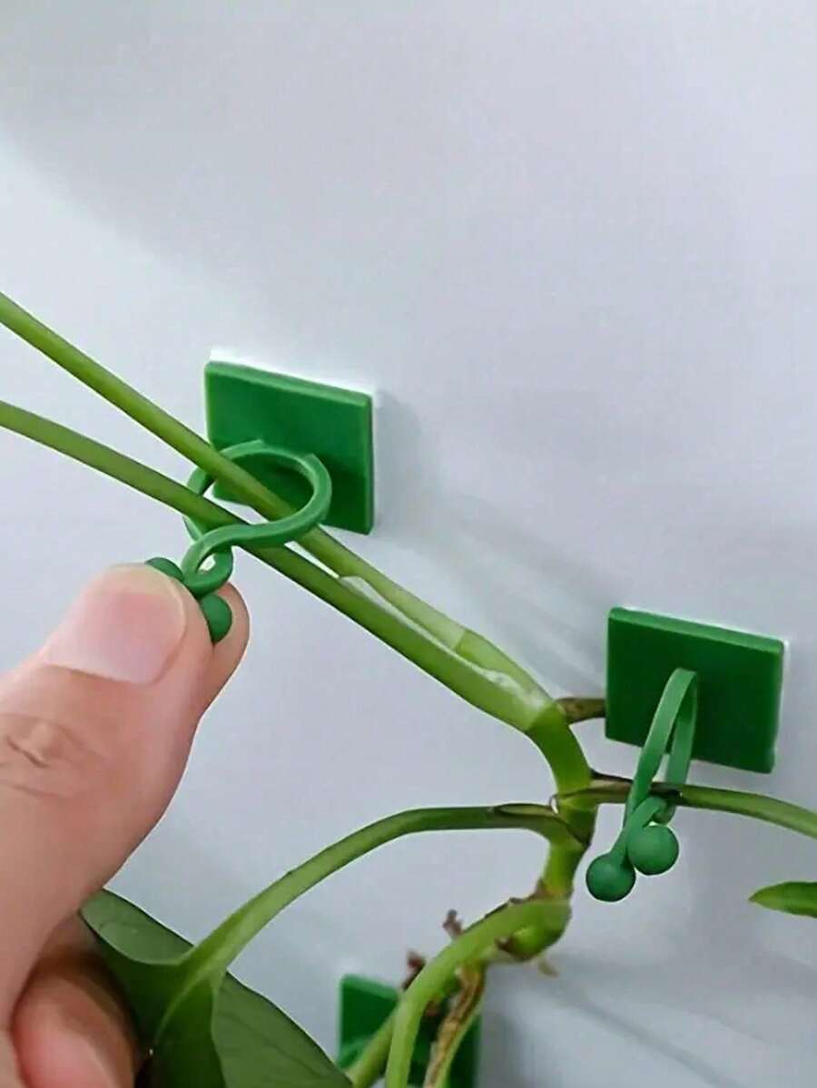 50个藤蔓植物墙夹,经久耐用,安装简便,粘性强,适用于园艺或电缆管理 - 均碼 - 查看 1