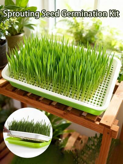 Bộ dụng cụ gieo mầm / Khay và đế gieo mầm / Hệ thống gieo mầm nhẹ cho đậu Hà Lan, đậu, lúa mì, cỏ khô / Có lỗ thoát nước / Dụng cụ gieo mầm xanh / Không bao gồm hạt giống