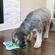 SPOT Seek A Treat Slide' N Turn Puzzle -Interactive Dog Puzzle Toy Small, Medium Large Dogs And Cats, Squeaky, Enrichment And Mentally Stimulating Toy Training And Boredom Buster - Mặc định - Xem 5