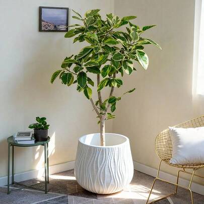 1pc Artificial Tree With Decorative Plastic Planter, Large Size Floor Planter, Fake Plant Decor Pot, Wide Diameter Plastic Flower Pot, Succulent Pot, Tree Pot, Hotel Artificial Green Plant Planter, Suitable For Planting Large Plants In Home Patio Or Garden