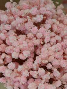25/50/100/150/300件迷你滿天星與其他人造花 - 用於手工藝、髮飾、婚禮花環、桌花、家居裝飾等 - 櫻花粉 - 查看 4