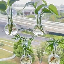 1个/4个装水培绿萝植物瓶，塑料悬挂装饰，亚克力透明花瓶，适用于以下节日：圣诞节、情人节、春节、父亲节、母亲节、教师节、七夕节、万圣节、复活节、国庆节 - 透明花瓶 - 查看 6