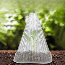 10件裝可重複使用透明塑料植物保護罩,帶垂直溝槽,良好透光性,保護植物免受霜凍、鳥類和蝸牛侵害,適用於花卉和植物幼苗 - A - 查看 2