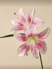 12/6/1支淡粉色人造百合花，装饰性人造花，34厘米塑料假花，适用于家居装饰花束、DIY婚礼新娘礼物、生日派对用品、桌面摆件、园艺装饰、婚礼花艺布置、花束、人造花、返校装饰、假百合花 - 淺粉色 - 查看 5