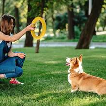 Dog Toys Dog Flying Disc Training Ring Puller Anti-Bite Aggressive Chewing Toy For Medium And Large Dog Floating Interactive Toy - Yellow - View 8