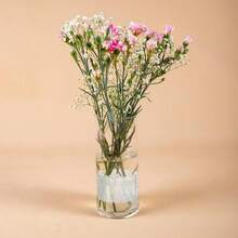 Spiral Vase Stem Holder DIY Bouquet Twist Tool, Floral Display Stand, Transparent Plastic Flower Arranging Tool, Bouquet Fixing Tool, Handmade Spiral Flower Art Tool - 1 Item - View 6
