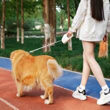 Pet Supplies Geometric Design Leash 5M Automatic Retractable Leash Walking Dogs, Suitable Medium And Large Cats And Dogs - 灰黑 - 查看 5