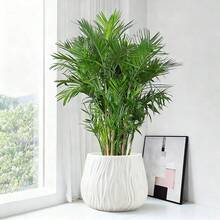 1pc Artificial Tree With Decorative Plastic Planter, Large Size Floor Planter, Fake Plant Decor Pot, Wide Diameter Plastic Flower Pot, Succulent Pot, Tree Pot, Hotel Artificial Green Plant Planter, Suitable For Planting Large Plants In Home Patio Or Garden - A - View 5
