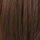 Blonde Highlight