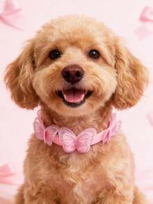 1pc Pink Embroidered Mesh Pet Butterfly Collar, Sweet And Cute 3D Butterfly Decoration, Suitable For All Seasons, Cat And Dog Decorative Product, Perfect For Valentine's Day, Christmas, Wedding, Party And Other Holidays, Cat And Dog Outdoor Photo, Holiday Dress-Up Collar, Perfect Gift For Pets! - Multicolor - View 6