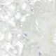 Bạc