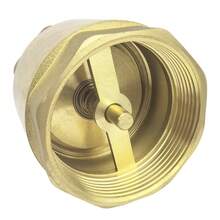 Válvula de retención de agua antiinversa gruesa de latón DN15 ~ DN100, rosca de tubo, tornillo interior liso, válvula de retención Vertical oscilante de resorte AG6T - tubería de 15 - Ver 3