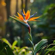 Flower Seeds - View 4