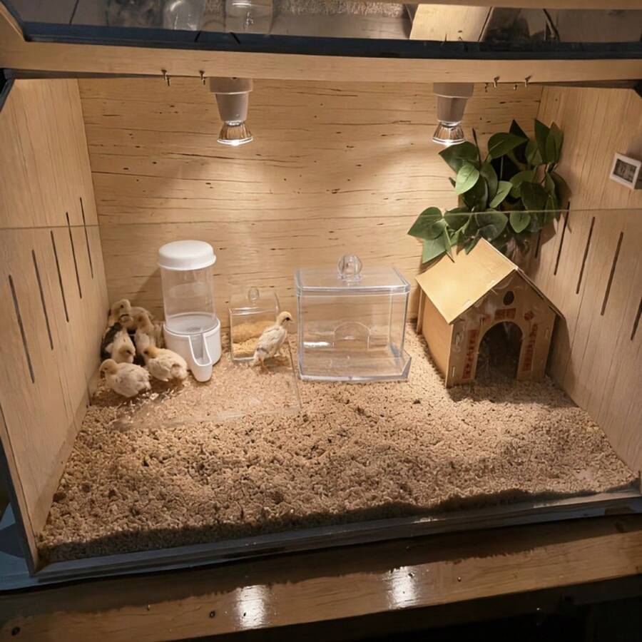 2 piezas Comedero y bebedero para pollos, fácil instalación, limpieza sencilla, sin necesidad de electricidad, diseño eficiente, también apto para codornices, loros, palomas, herramienta esencial para aves de corral - 2 piezas - Ver 1