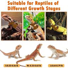 Bearded Leash And Harness Set - Adjustable With Traction Rope And Scooter Toy Reptile Outdoor Walking - 3 Sizes - Style 1: Brown - View 7