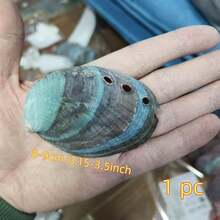 1 cái/5 cái (3,14-4,3 inch) Bát vỏ bào ngư lớn, Lư hương vỏ bào ngư tự nhiên, Dùng để đốt cây xô thơm - Bộ - Xem 14