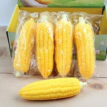 Đồ chơi bóp giảm căng thẳng hình bắp ngô bằng chất liệu TPR mềm mại, mới lạ và chân thực, sản phẩm giảm áp lực. - Xem 1
