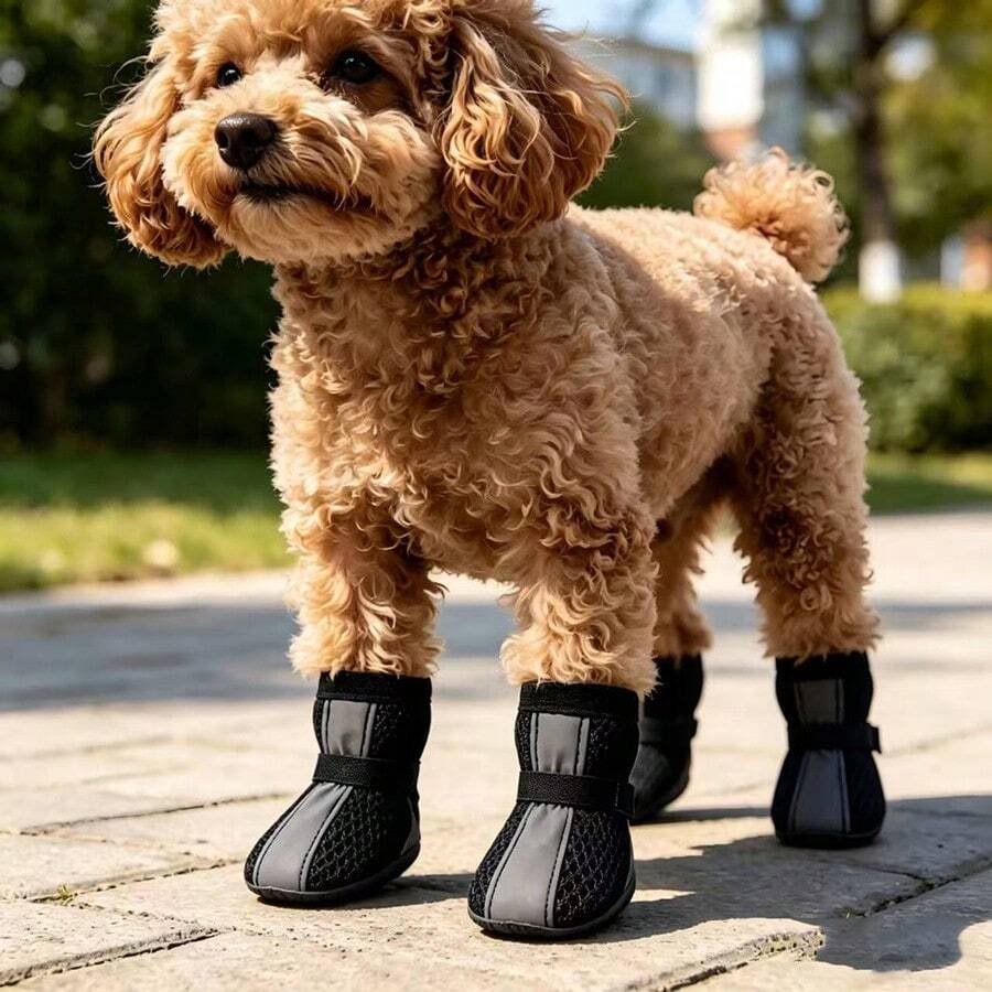 1 Set (4pcs) New Breathable Mesh Dog Shoes, Anti-Slip Anti-Dirt Reflective Pet Shoes, Suitable For All Seasons Outdoor Walking And Camping, Fit For Small Dogs Non-Slip Dog Shoes
