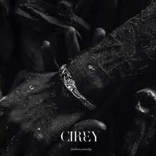 CIREY 1件装暗黑奇幻恶魔兽羽毛阴影手链，强大而优雅的男士配饰，适合日常佩戴，节日礼物 - 異獸翎影手鐲 - 查看 6