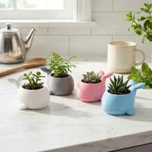 Cute Whale Succulent Planter Pot, Mini Animal Flower Pot For Small Plants, Cactus, Air Plants, Desktop Nursery Coastal Home Decor - A - View 2