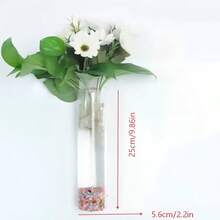 1个透明圆形壁挂式花盆，PET防水水培花瓶，简约美观的壁挂式植物架，适用于阳台、卧室、走廊、室内休闲区和室外庭院装饰 - A - 查看 5