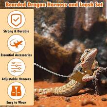 Bearded Leash And Harness Set - Adjustable With Traction Rope And Scooter Toy Reptile Outdoor Walking - 3 Sizes - Style 1: Brown - View 5