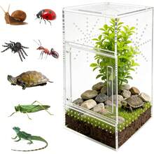 Jumping Spider Enclosure, 6*6*11.8 Dual Magnetic Door Arboreal Tarantula Cribs, Ventilation Spider House, Escape Proof Praying Mantis Habitat, Acrylic Snail Cage, Acrylic Terrarium Habitat - 1 - View 1