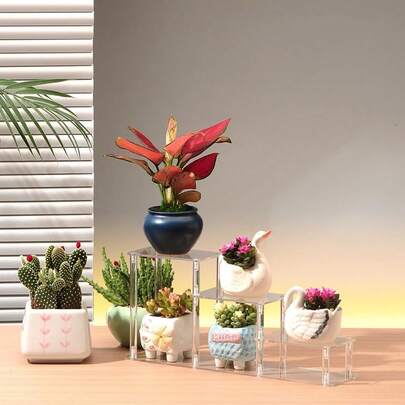 Giá trưng bày acrylic cho đồ sưu tầm, hộp bí ẩn, kệ lưu trữ và sắp xếp nhiều tầng, giá trưng bày trang sức.